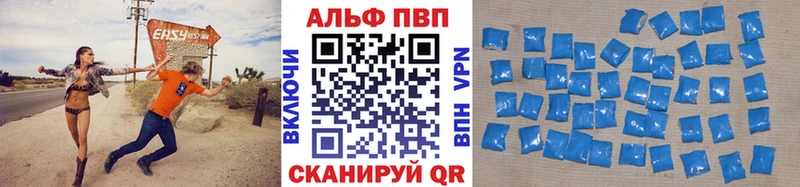 А ПВП СК КРИС Новая Ладога