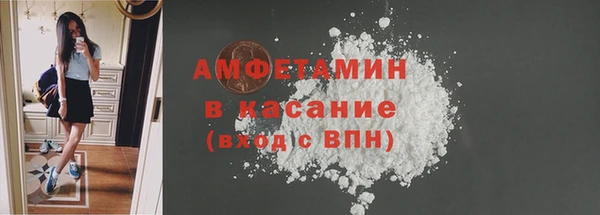 гашик Алексеевка