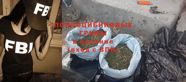 гашик Алексеевка