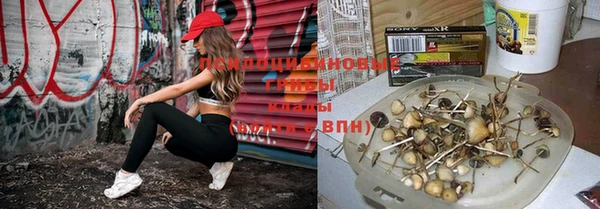 скорость mdpv Алзамай
