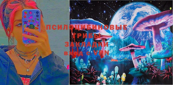 гашик Алексеевка