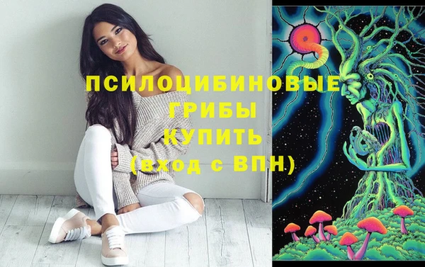 гашик Алексеевка