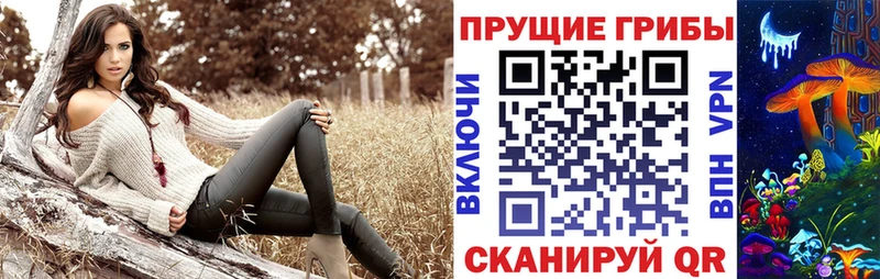 Галлюциногенные грибы мухоморы  Новая Ладога 